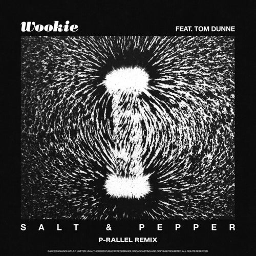 Salt & Pepper (p-rallel remix)