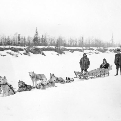 The Mackenzie River Pallbearers