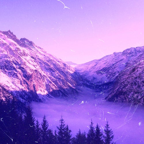 purple star
