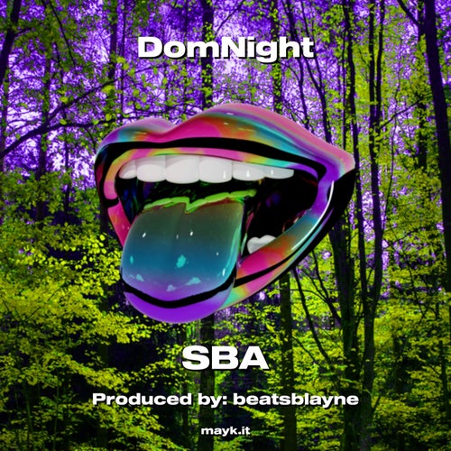 DomNight