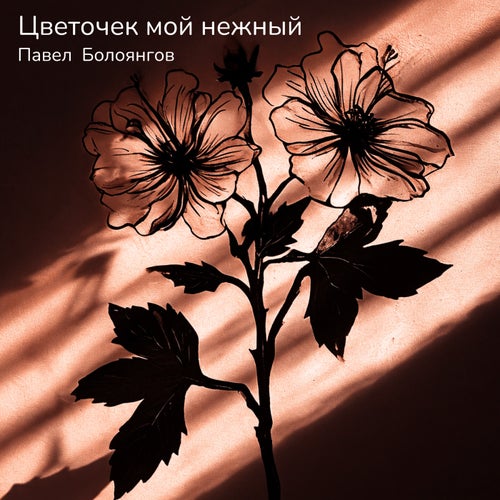 Цветочек мой нежный