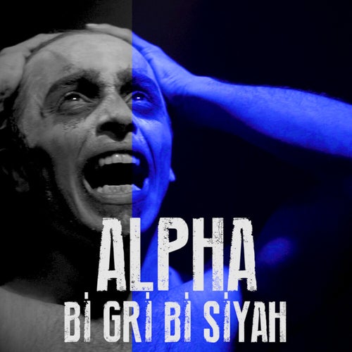 Bi Gri Bi Siyah