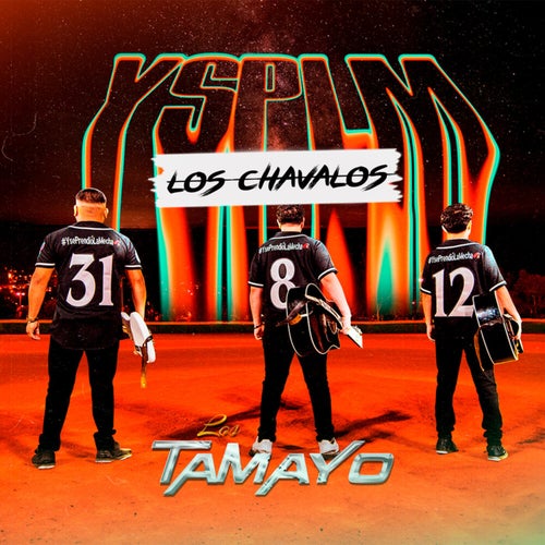 Los Chavalos