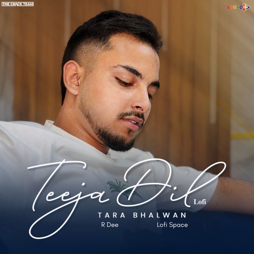Teeja Dil (Lofi)