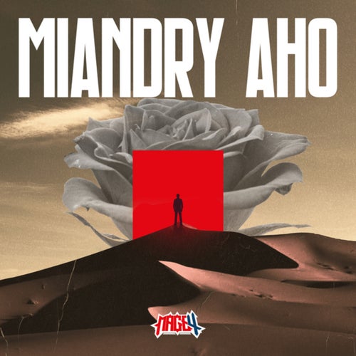 Miandry Aho