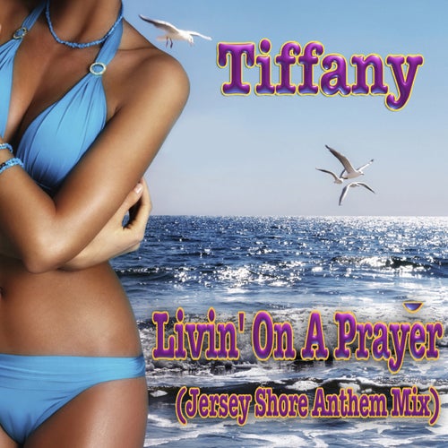 Livin' On A Prayer (Jersey Shore Anthem Instrumental Mix )