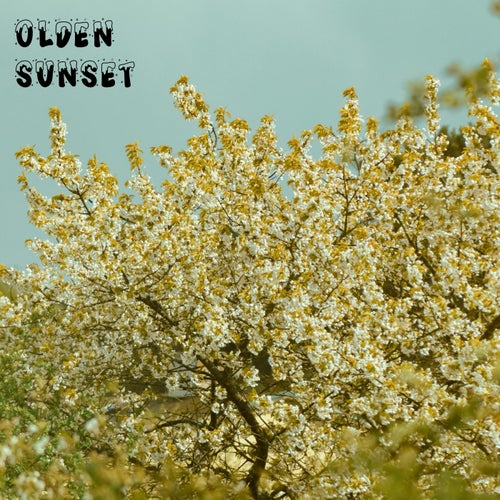 Olden Sunset