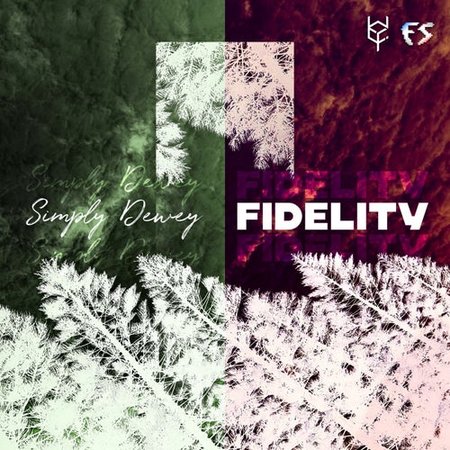 Fidelity