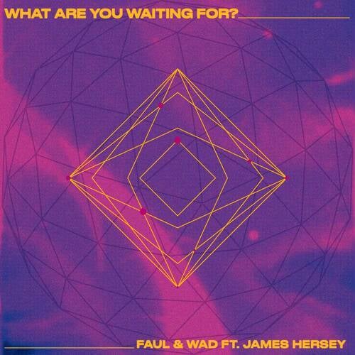 What Are You Waiting For (Extended Mix)