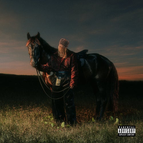 Release of the week