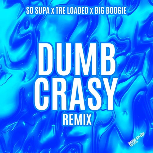 Dumb Crasy (Remix)