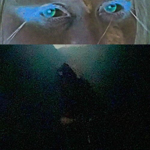 Sonic Youth (feat. Bizi)