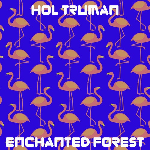 Enchanted Forest