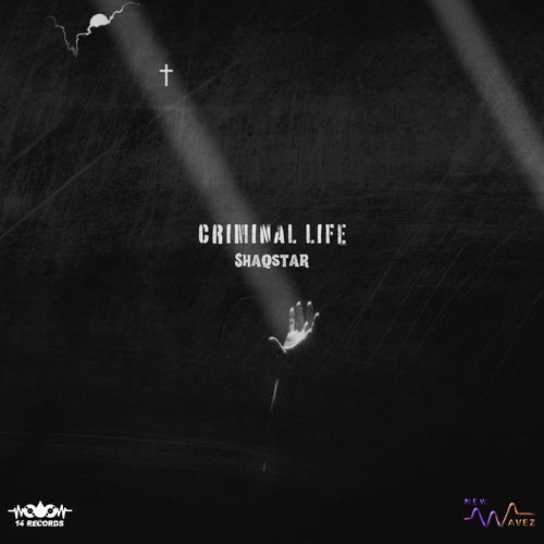 Criminal Life