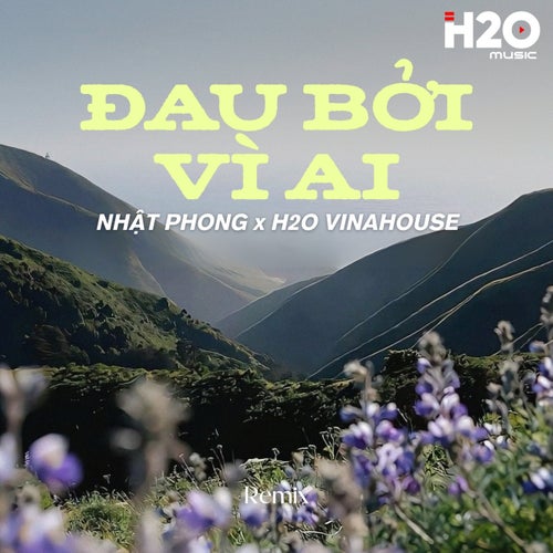 Đau Bởi Vì Ai (Remix)