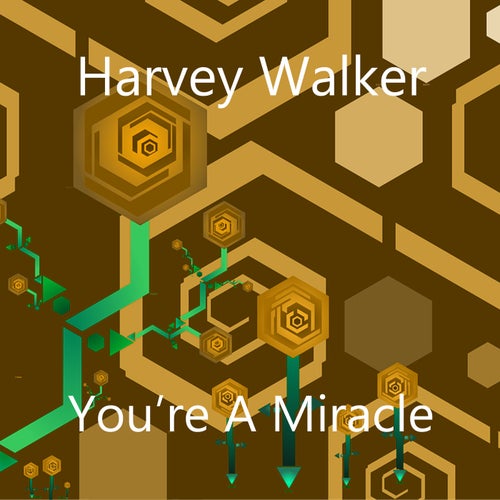 You're A Miracle