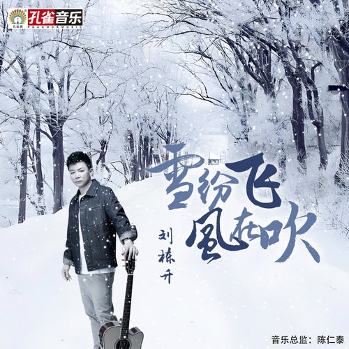 雪紛飛風在吹