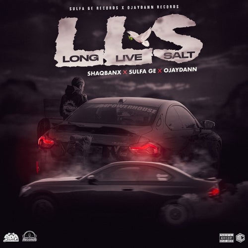 L.L.S [Long Live Salt]