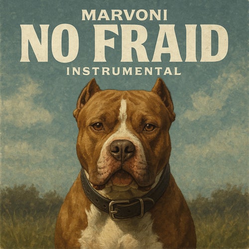 No Fraid
