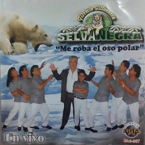 Me Robo El Oso Polar En Vivo