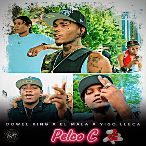 Pelco C