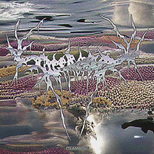 brain  regeneration