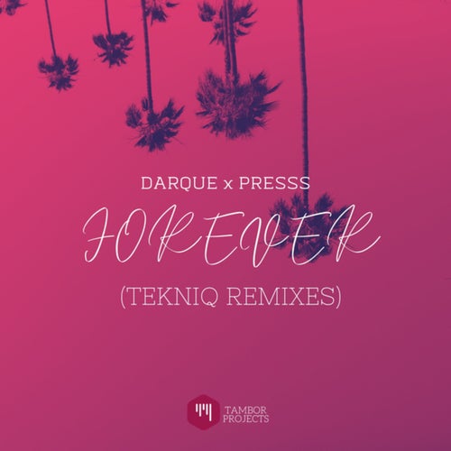Forever (TekniQ Remixes)