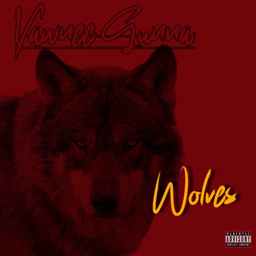 Release of the week
