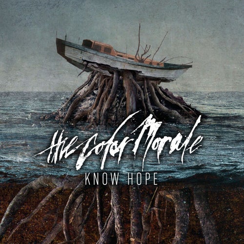 Release of the week