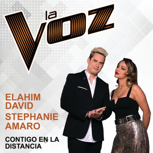 Contigo En La Distancia