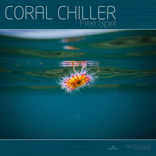 Release of the week