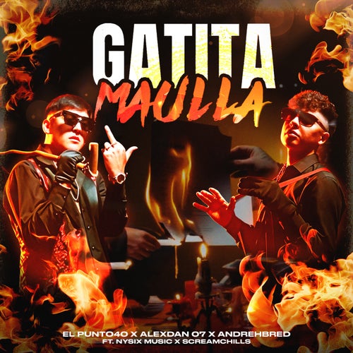 Gatita Maulla