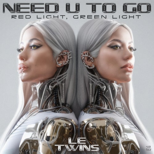 Need U To Go (Red Light, Green Light) (Extended Mix)