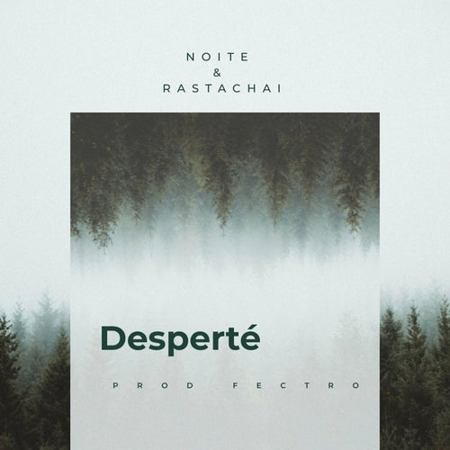 Desperté