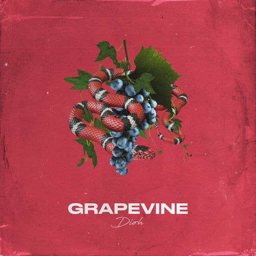 Grapevine