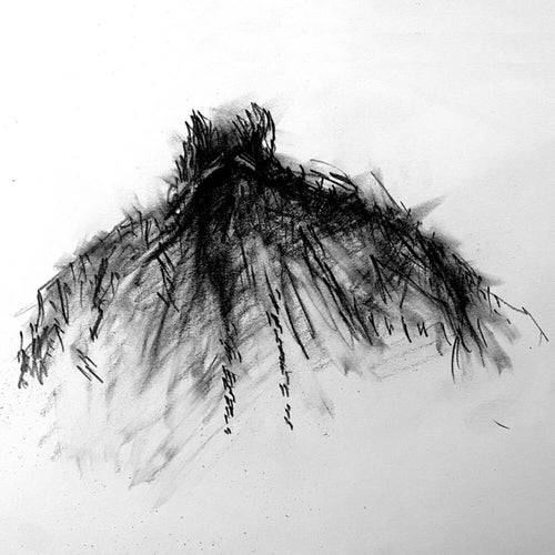 I Know The Mothman