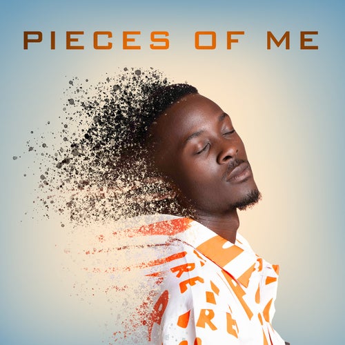 Pieces of me