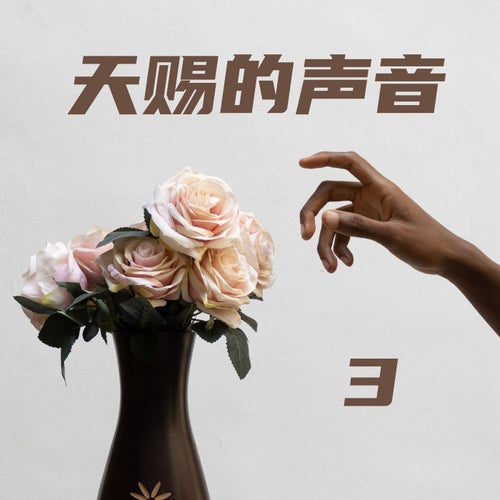 系情