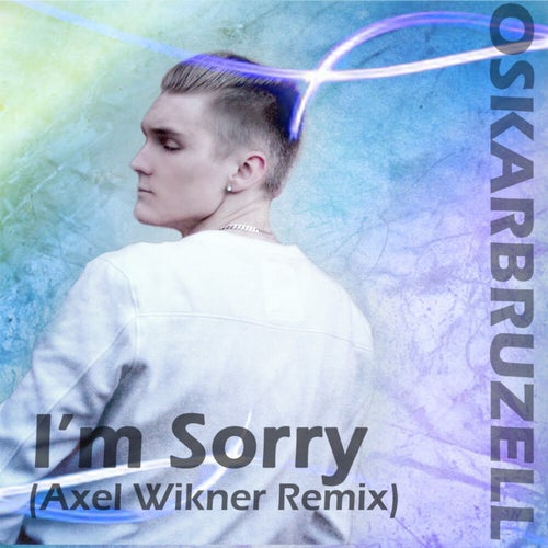 I'm Sorry (Axel Wikner Remix)