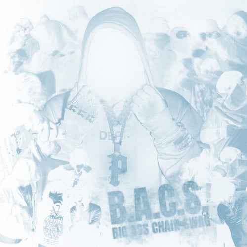 B.A.C.S.