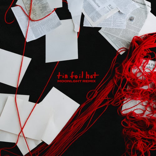 tin foil hat (MOONLGHT Remix)