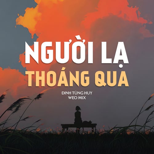 Người Lạ Thoáng Qua (WEO Mix Instrumental)