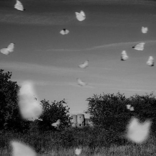Somewhere Timeless