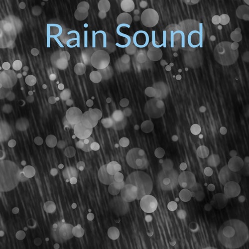 Forest Rain