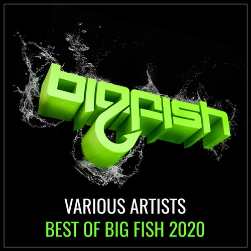 Best of Big Fish 2020