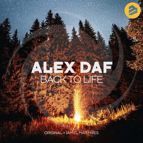 Alex Daf Profile