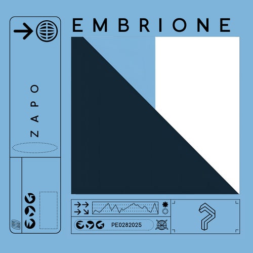 Embrione