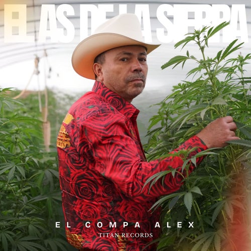 El Compa Alex