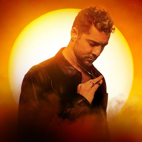 David Bisbal Profile