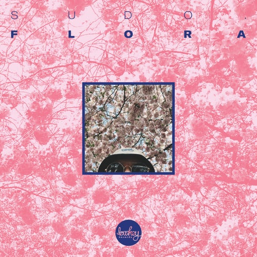 Release of the week